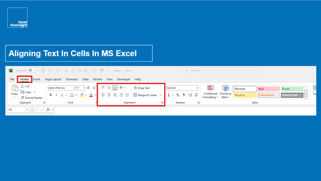 Aligning Text In Cells In MS Excel | ExcelOvernight.com